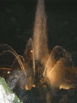 76.jpg