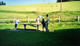 11.jpg
