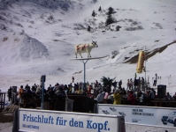37.jpg