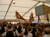 96.jpg