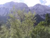 158.jpg