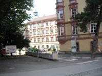 81.jpg