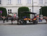 93.jpg