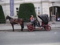 94.jpg