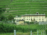 149.jpg