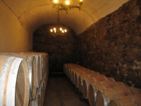157.jpg