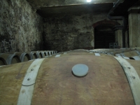167.jpg