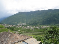 186.jpg