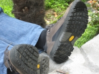 195.jpg