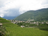 207.jpg