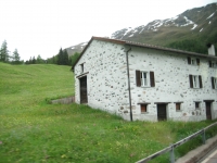 275.jpg
