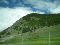 286.jpg