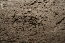 112.jpg