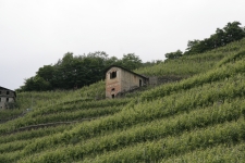 149.jpg
