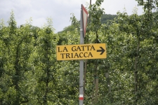 160.jpg