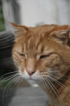 296.jpg