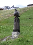 74.jpg