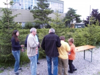SDC10286.JPG