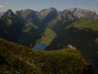 DSC01788.JPG