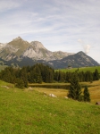 DSC03064.JPG