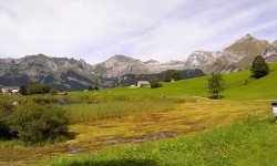 DSC03065-1.jpg