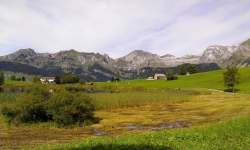 DSC03066-1.jpg