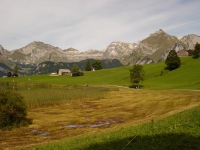 DSC03066.JPG