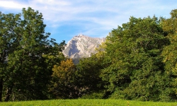 DSC03105.jpg