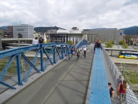 SDC10036.JPG