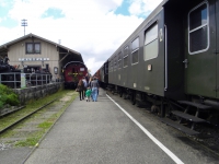 SDC10094.JPG