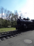 SDC10106.JPG