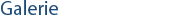 Vorstand